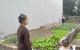 thum-m_PtIx4OLWZf_1637487057.jpg
