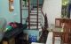 thum-8254994_a96nxXFhGd_1637540256.jpg