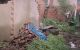 thum-8255389_Tm7NWiQ5aY_1637552112.jpg