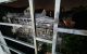 thum-8255561_yYbpBuiecH_1637555890.jpg
