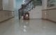 thum-8255611_4T5Ll0xtOb_1637557566.jpg
