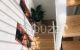 thum-8256031_0bhsf3ULEB_1637568645.jpg