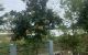 thum-8256259_0YiJpAXlcn_1637575400.jpg