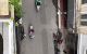 thum-m_XqTYE7HGP9_1637564696.jpg