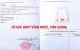 thum-m_lhcRBnZ7Lo_1637590629.jpg