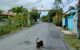 thum-8257265_bGqeK2dCkw_1637624724.jpg