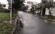thum-8257513_fUuHWxZvPe_1637634254.jpg