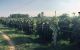 thum-8257655_XpFH4GeSfP_1637637243.jpg