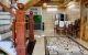 thum-8258125_Xf4iDBGRqp_1637651380.jpg