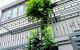 thum-m_CLFcXM7Qq5_1637673553.jpg