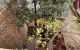 thum-m_UpC6cdYuol_1637641355.jpg