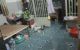 thum-m_ez0a3qn1HG_1637649575.jpg
