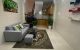 thum-m_xQ1GIwbVkS_1637626668.jpg