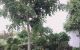 thum-8259892_NmhT58H27M_1637723356.jpg