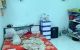 thum-8260116_1d5kW7Ofyu_1637726562.jpeg
