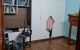 thum-8260119_yke3LCgG6d_1637726757.jpg
