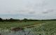 thum-8260491_41uk2bQDf9_1637739693.jpg