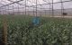thum-8260765_pfenI9xPrC_1637748974.jpg