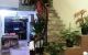 thum-8261232_yLfnE9Nd07_1637764557.jpg