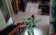 thum-8261325_J38AUzMIiF_1637768356.jpg