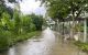 thum-m_cxPlWZM3u1_1637724401.jpg