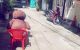 thum-m_t0h2oQJEdN_1637767998.jpg