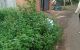 thum-8261716_cLM6pdCQ0R_1637801367.jpg