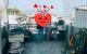 thum-8261905_TRwLpGXkfy_1637805004.jpg