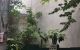 thum-8262140_YUoBCsK1pF_1637808883.jpg