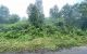 thum-m_cELCqBRrVM_1637804407.jpg