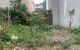 thum-m_yswxVaz1oL_1637816163.jpeg
