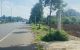thum-8263692_5DPWUvwdhy_1637888976.jpg