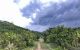 thum-8263849_Qt2KpzDBL6_1637893907.jpg
