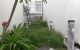 thum-8264652_tRkNiBYz46_1637917641.jpg