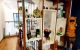 thum-8265272_ZVD3CGThRY_1637937012.jpg