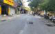 thum-8265324_HFaZEJANdq_1637946604.jpg
