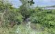 thum-8265655_SekN7JyQiK_1637973781.jpg