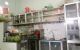 thum-8265906_yiqKn3l09H_1637981344.jpg