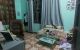 thum-8266212_Zxj2NAI4Lm_1637987536.jpg