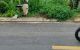 thum-8266591_A4F2goSGnm_1638001092.jpg