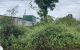 thum-m_ihIWf3RngH_1637982304.jpg