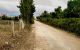 thum-m_nmq8RHdexV_1637981596.jpg