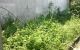 thum-8269360_bfqRF4vd7n_1638147334.jpg