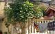 thum-8269596_AO9NUh1wTH_1638155362.jpg