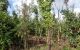 thum-8269725_MDegTyal65_1638158199.jpg