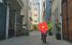 thum-8269740_9VIDMTF3zE_1638158716.jpg
