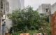 thum-8270800_tfgOmKAXdN_1638196210.jpeg