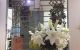 thum-8270802_jfOWbnLw6d_1638196381.jpg