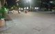 thum-m_E9tcKR0pn5_1638168545.jpg