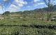 thum-8272129_GEthT6ALfo_1638257560.jpg